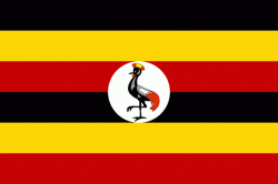 Uganda: Gefängnis und Todesstrafe für Positive?