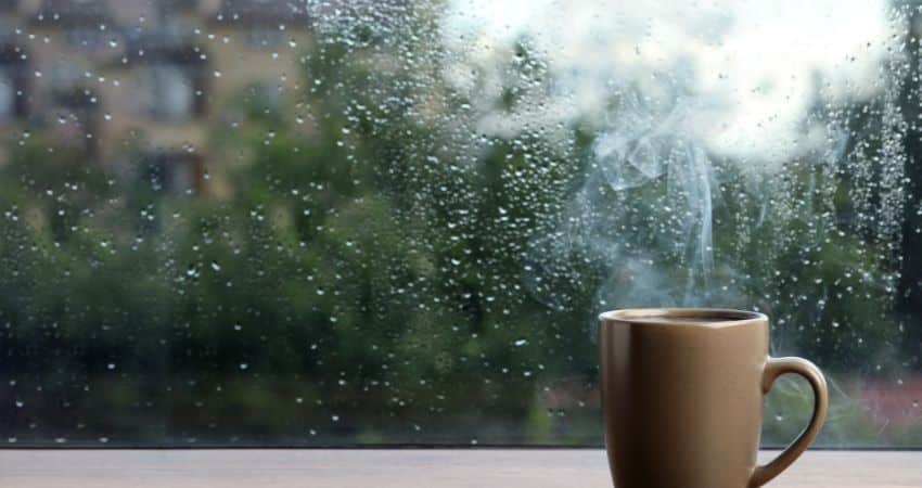 Tasse vor einem regennassen Fenster als Symbol für einen stillen Novemberabend