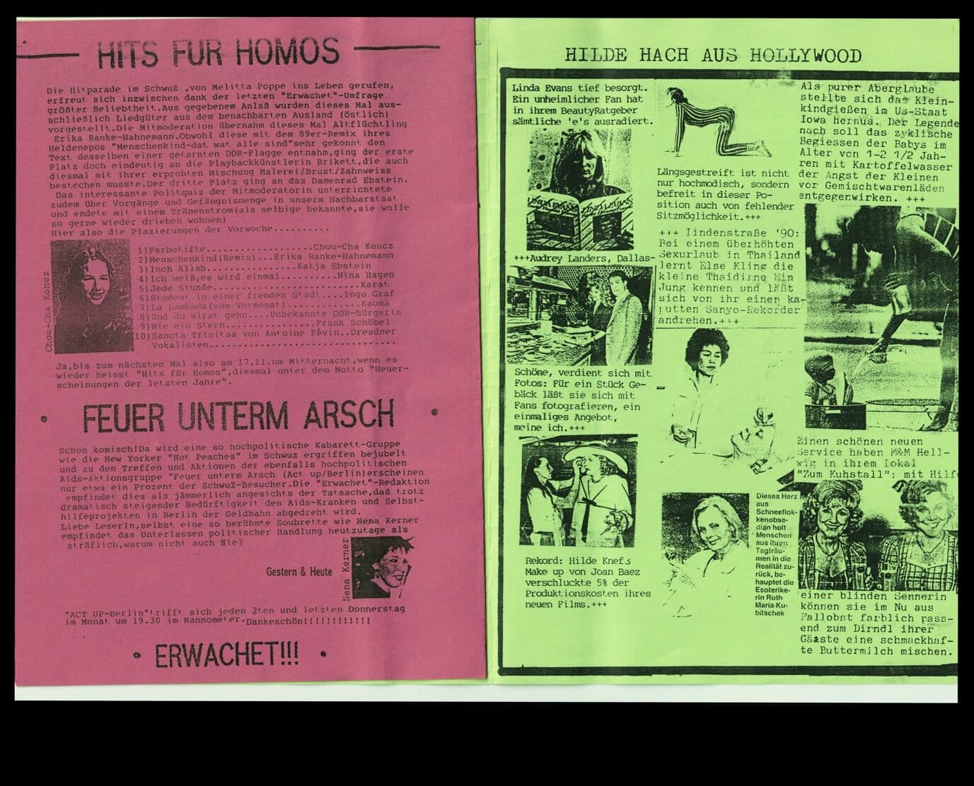 Zweifarbiger Zeitungsausschnitt mit den Rubriken „Hits für Homos“, „Feuer unterm Arsch“ und „Hilde Hach aus Hollywood“.