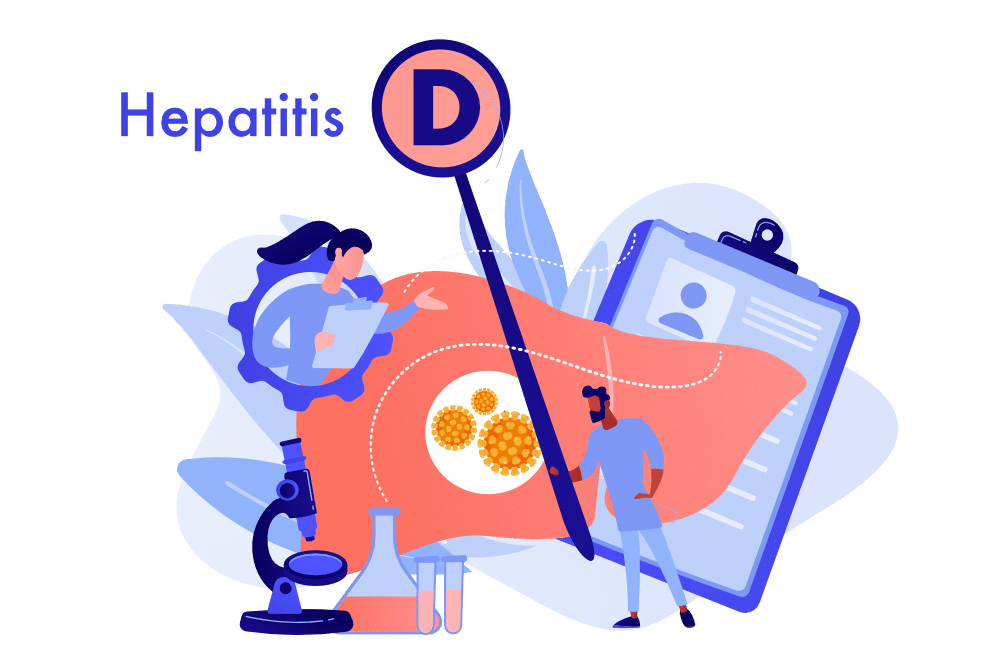 Illustration zu Hepatitis D mit Leber, Virusdarstellung und medizinischem Personal