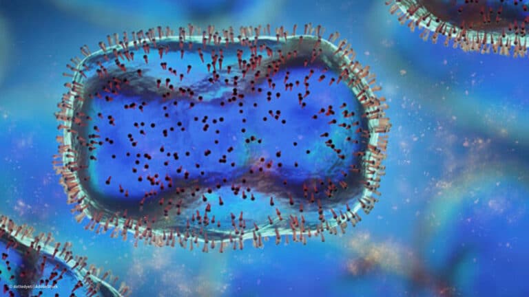 New Mpox variant: What you can do now